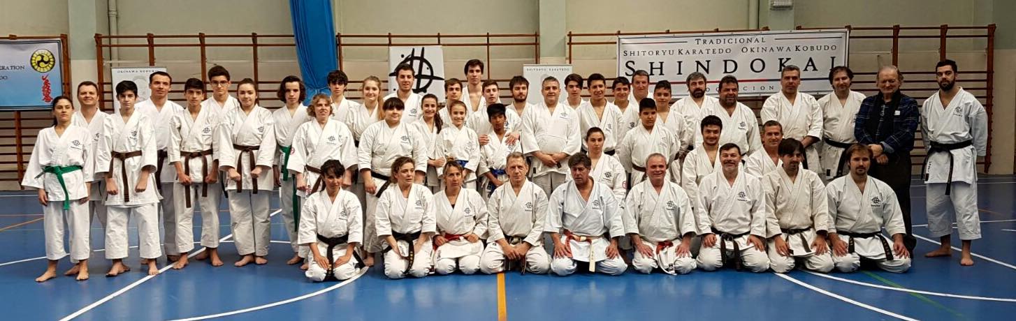 IX Seminario nacional karate