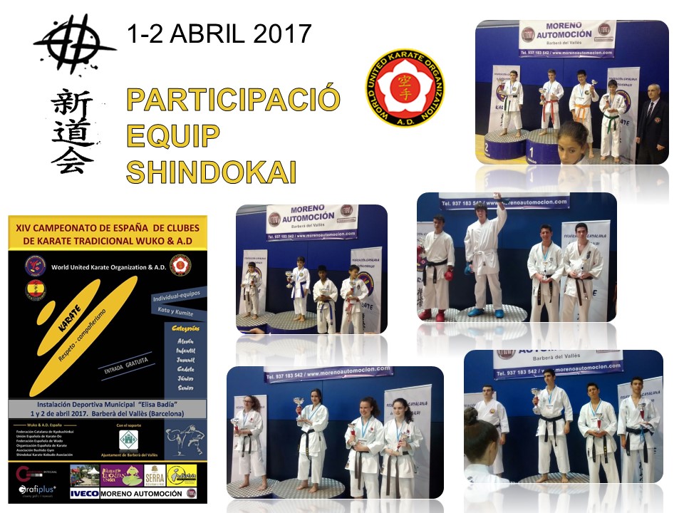 shindokai 1abril2017